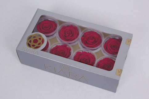 Trandafir criogenat Ø5.5-6cm hot pink