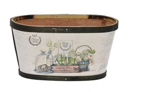 Masca 22x12x11.5cm hyacinthus