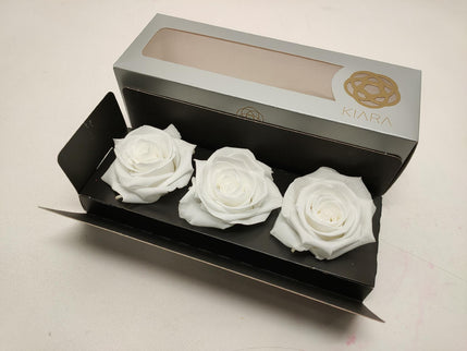 Trandafir criogenat Ø7-8cm S/3 alb