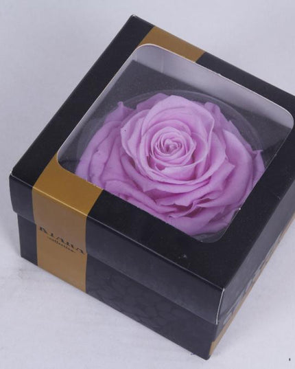 Trandafir criogenat Ø9-10cm baby liliy