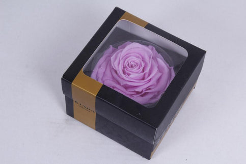 Trandafir criogenat Ø9-10cm baby liliy