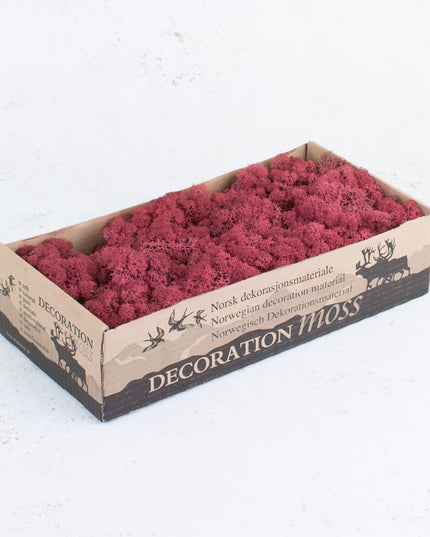 Licheni conservati Bordeaux 500G