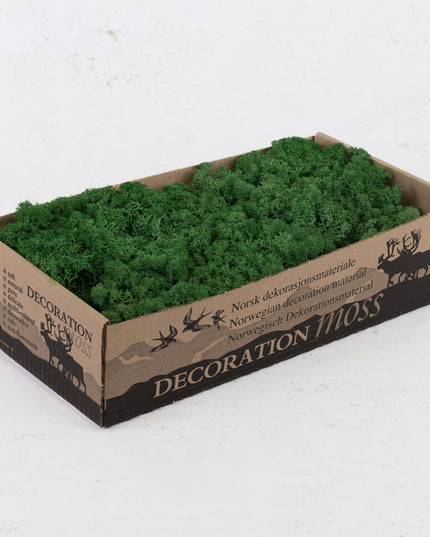 Licheni conservati Forest Green 500G