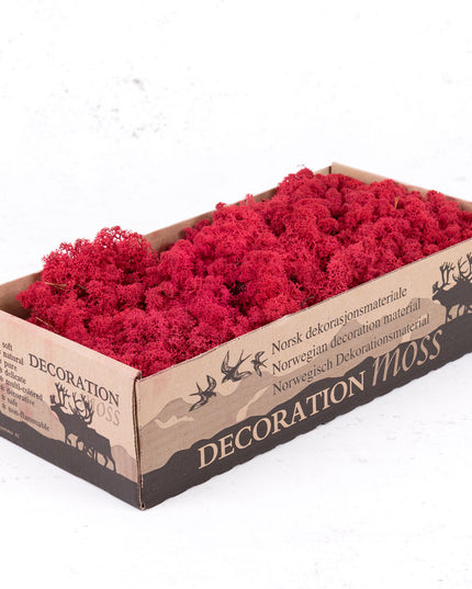 Licheni conservati Crimson 500G