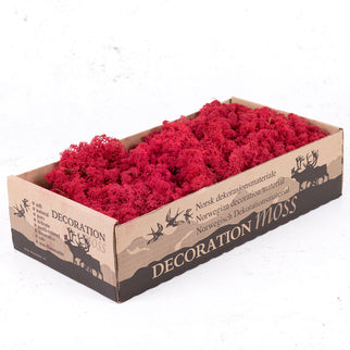 Licheni conservati Crimson 500G