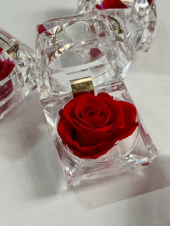 Trandafir criogenat cub - rosu 4 cm