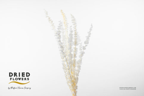 Baby blue criogenat albit