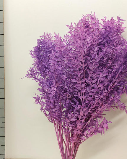 Ruscus criogenat lila intens