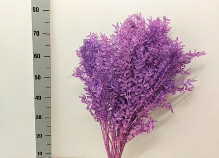 Ruscus criogenat lila intens