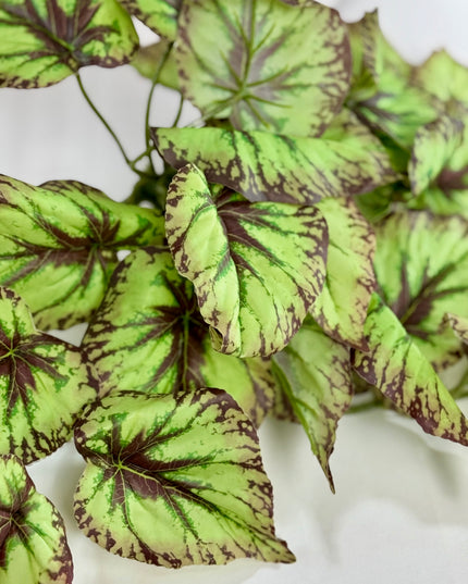 Verdeata artificiala Caladium verde