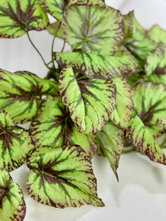 Verdeata artificiala Caladium verde