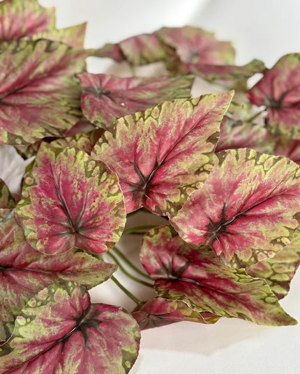 Verdeata artificiala Caladium verde-roz