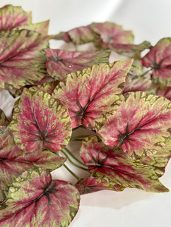 Verdeata artificiala Caladium verde-roz