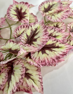 Verdeata artificiala Caladium roz-alb