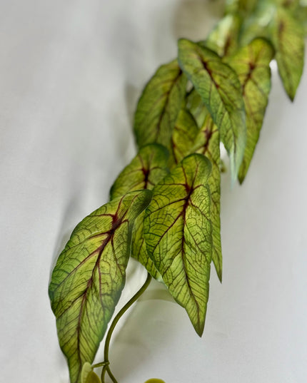 Verdeata artificiala curgatoare Hoya