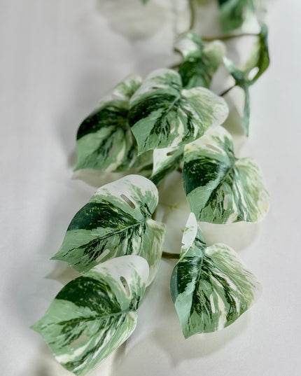 Verdeata artificiala curgatoare Monstera variegata