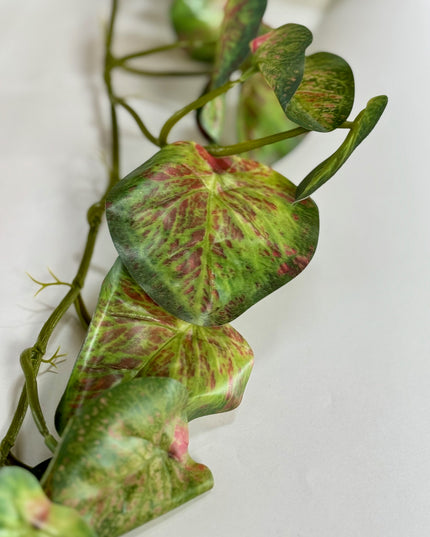 Verdeata artificiala curgatoare Peperomia