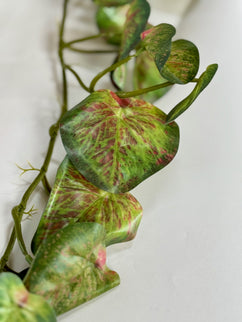 Verdeata artificiala curgatoare Peperomia