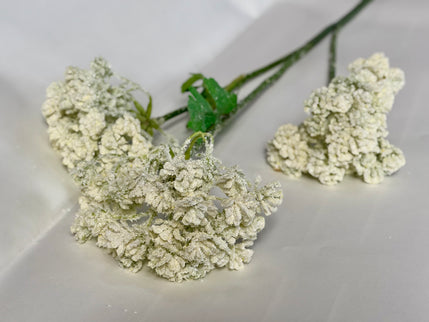 Daucus artificial (3 flori)