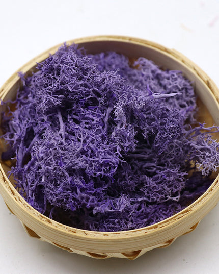 Licheni conservati Aubergine 500G