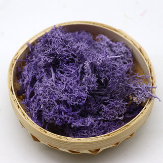 Licheni conservati Aubergine 500G