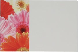 Eticheta mesaj S/50 gerbera