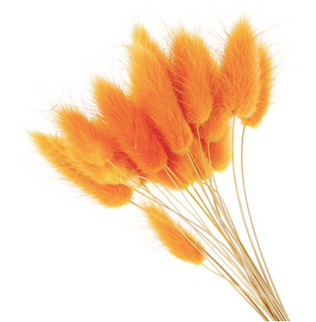 Lagurus S/60 portocaliu