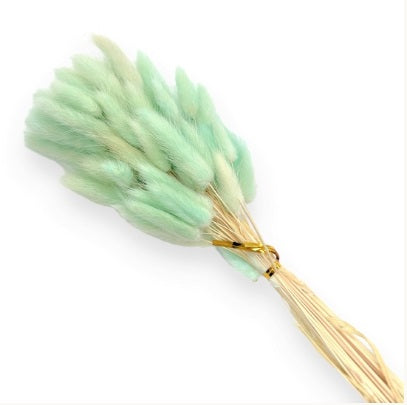 Lagurus S/60 verde menta