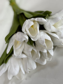 Lalele artificiale S/10 alb