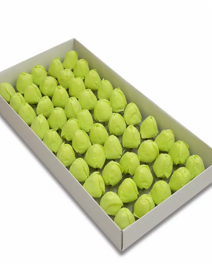 Lalele sapun S/50 verde