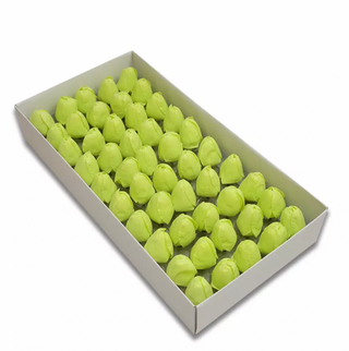 Lalele sapun S/50 verde