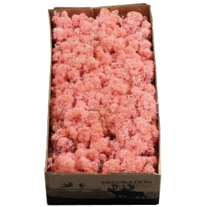 Licheni conservati Roze 500G
