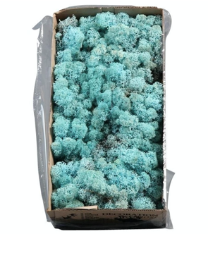 Licheni conservati Aquamarin 500G