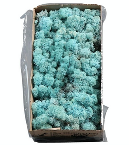Licheni conservati Aquamarin 500G