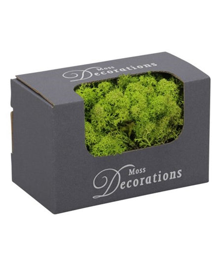 Licheni conservati 50g verde deschis