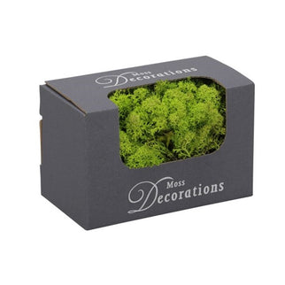 Licheni conservati 50g verde deschis