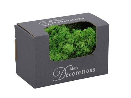 Licheni conservati 50g verde mediu