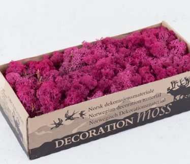 Licheni conservati Erica 500G