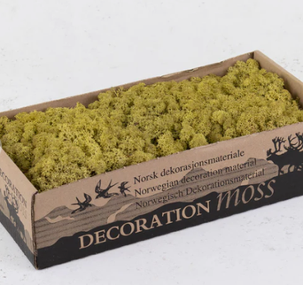 Licheni conservati Kiwi 500G