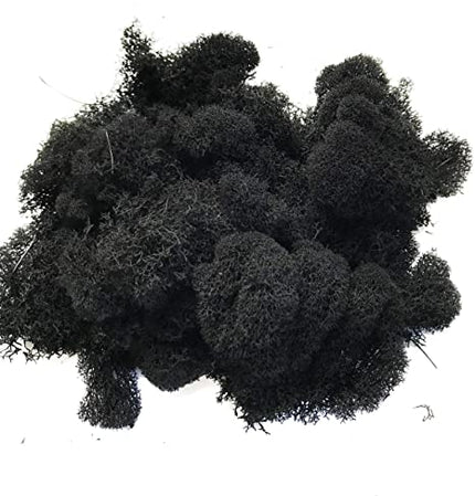 Licheni conservati Black 500G