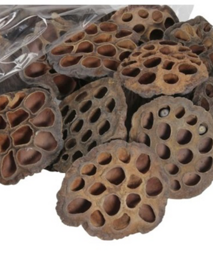 Decor flori lotus S/50