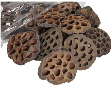 Decor flori lotus S/50