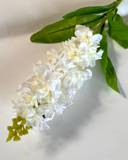 Matthiola artificiala alba