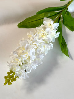 Matthiola artificiala alba