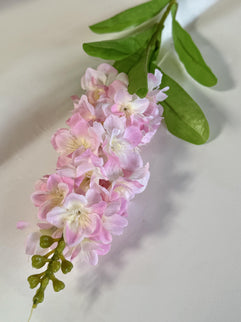 Matthiola artificiala roz