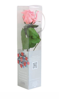 Trandafir criogenat tija 27cm Ø3.5-4.5cm roz pal