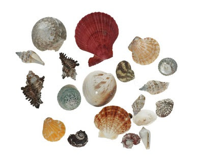 Decor scoici mix 1kg