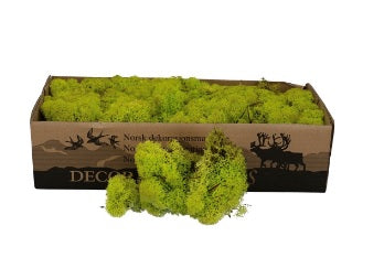 Licheni conservati Mos Groen 500G