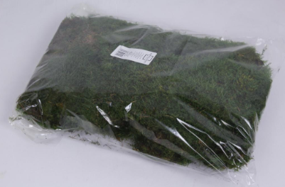 Muschi plat conservat 500gr