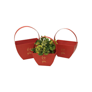 Set 3 cutii flori S3.168 rosu